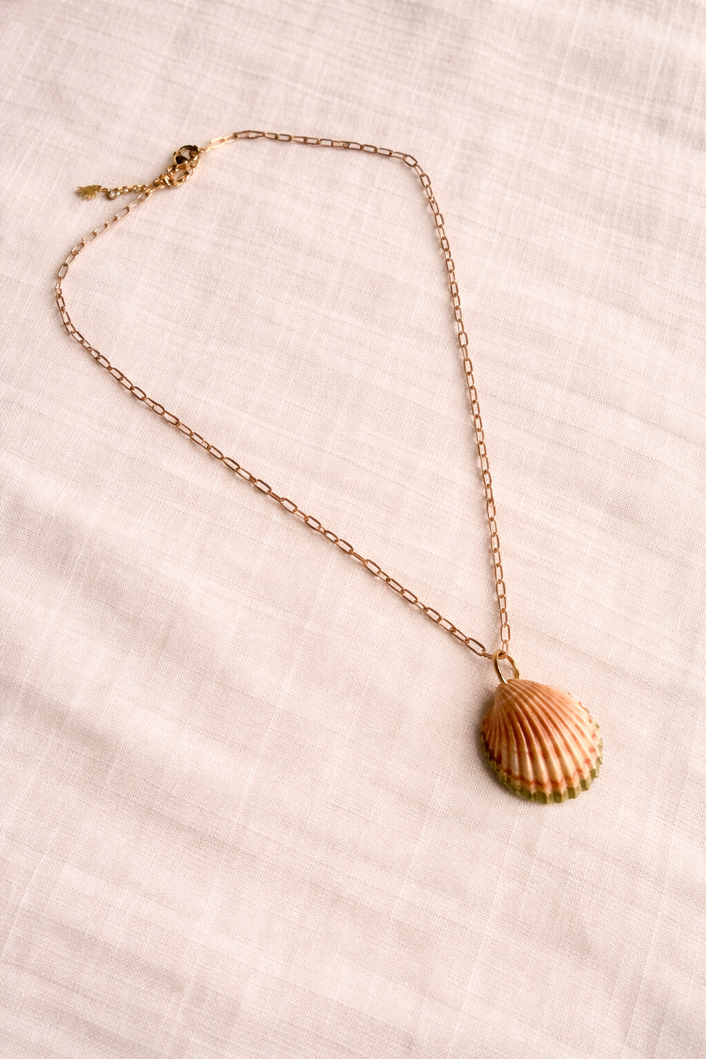 Simple Seashell Necklace